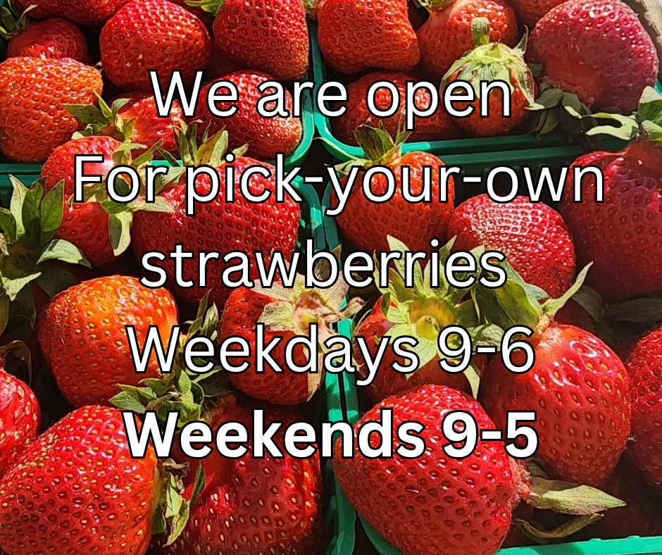img/pick-your-own_berries_start_july_30th__20250630_050212_0000.png
