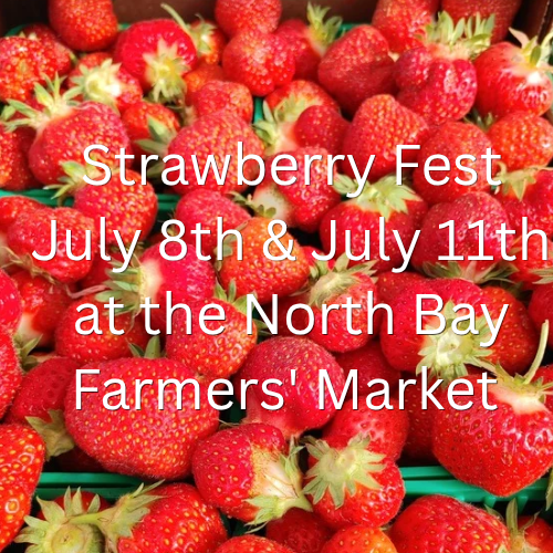 img/pick-your-own_strawberries_start_june_29th_20260626_144657_0000.png