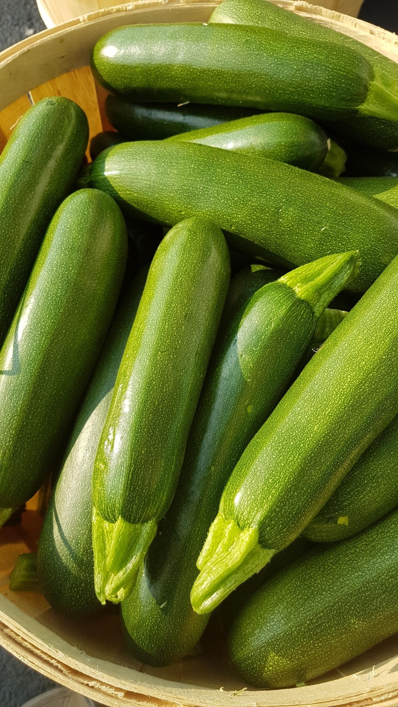 Zucchini ea image