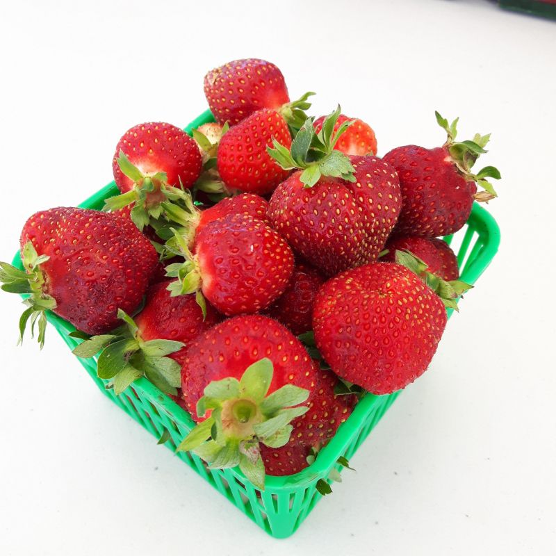 picture of Strawberries (Quart)