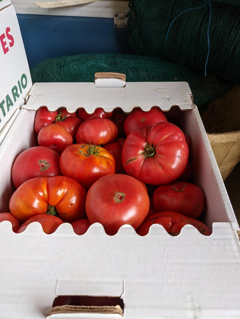 picture of Beefsteak Tomatoes - Box 