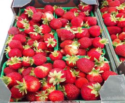 Strawberries (Flat) image